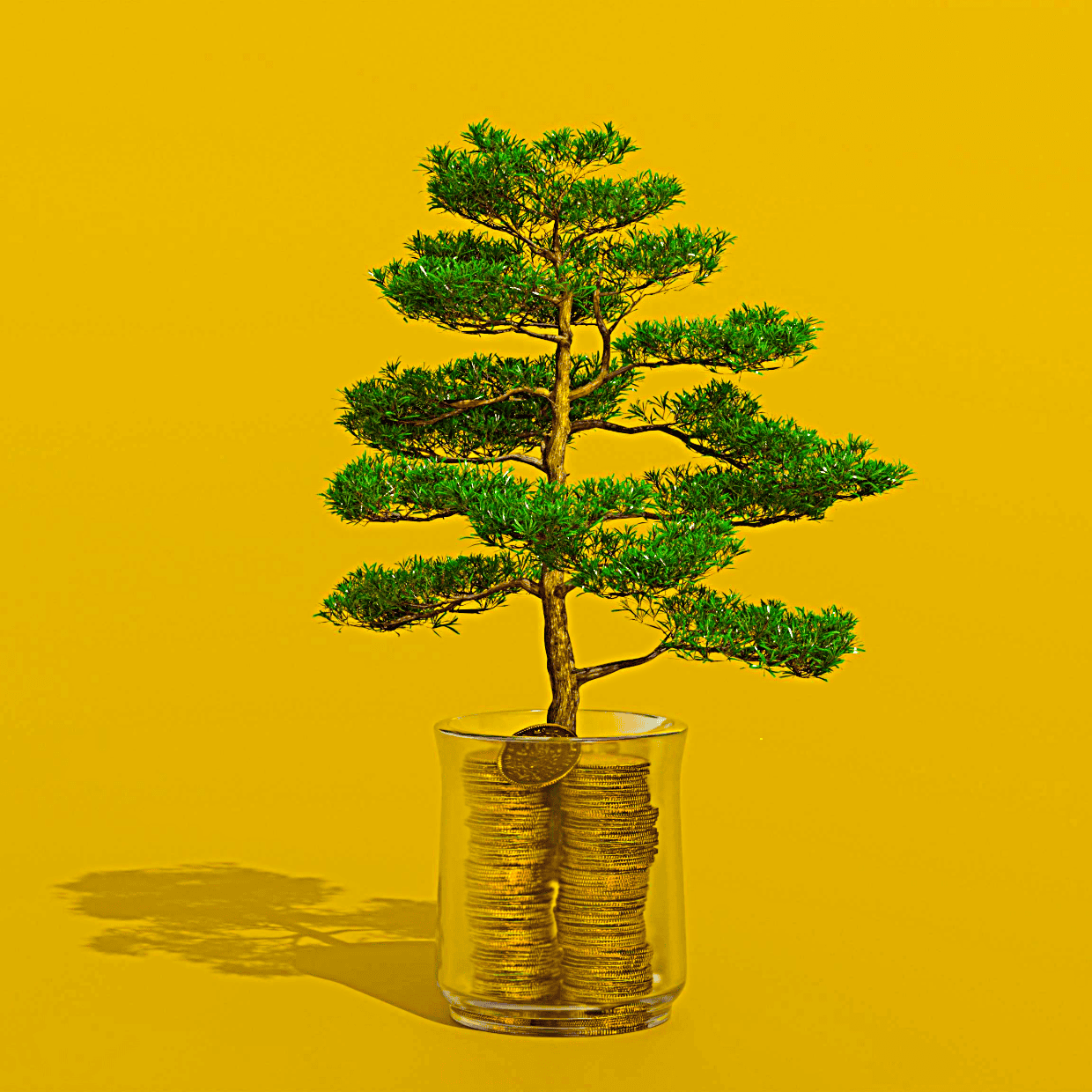 Small tree growing from a glass filled with stacked coins against a yellow background, symbolising long-term investment, savings growth and financial stability.