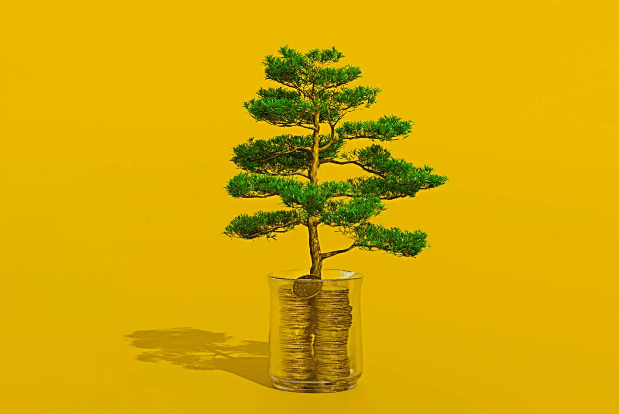 Small tree growing from a glass filled with stacked coins against a yellow background, symbolising long-term investment, savings growth and financial stability.