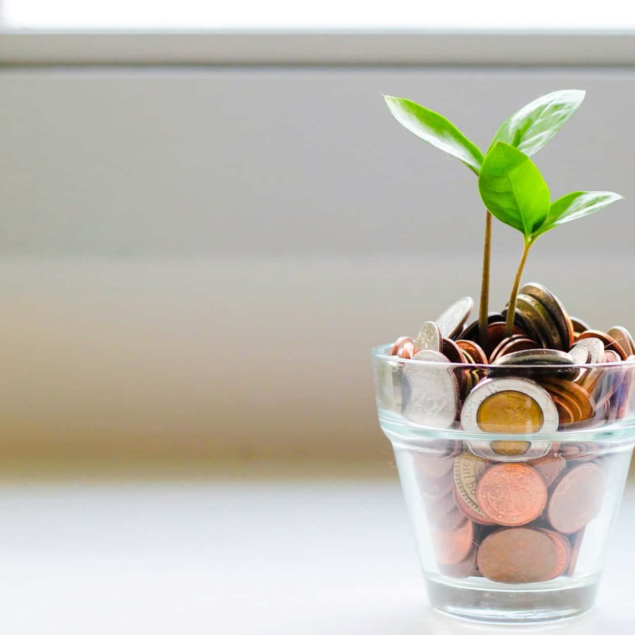 A small green plant growing from a glass filled with coins, symbolising financial growth or investment.